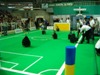 Robotica 2004